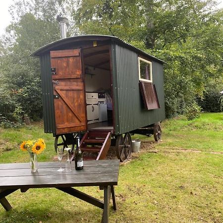 The Shepherd'S Hut - Wild Escapes Wrenbury Off Grid Glamping - Ages 12 And Over Baddiley Экстерьер фото