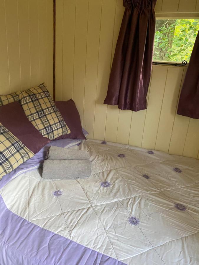 The Shepherd'S Hut - Wild Escapes Wrenbury Off Grid Glamping - Ages 12 And Over Baddiley Экстерьер фото