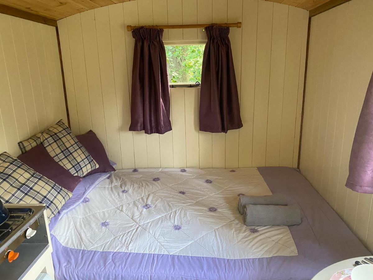 The Shepherd'S Hut - Wild Escapes Wrenbury Off Grid Glamping - Ages 12 And Over Baddiley Экстерьер фото